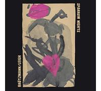 Brotzmann Peter, Leigh Heather - Sparrow Nights