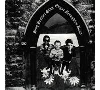Broughton,Edgar Band - Brother Sing