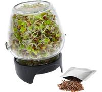 BROWIN® 745747 Germinatore a barattolo Twist-off con semi di ravanello