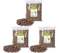 Browin 749901 Ciottoli di Argilla - Clay Pebbles 4-10 mm, 1l (Confezione da 3)