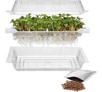 Browin® Contenitore per germogli per la coltivazione di germogli 745748 | germogli con coperchio e ciotola | germinatore per semi di crescione, germogli di erba e semi di rucola | con semi di
