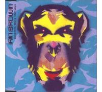 Brown, Ian - Dolphins Were Monkeys