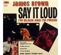 BROWN, JAMES - SAY IT LOUD I'M BLACK...