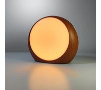 Brown Noise Sound Machine Macchina per il rumore bianco con luci notturne a 12 colori, 30 suoni lenitivi, timer di spegnimento automatico, macchina per dormire calmante con funzione di memoria, per