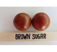 Brown Sugar Tomato 40+ Fresh Organic Seeds for 2017: Seeds:packing seeds only