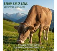 Brown Swiss Cows 2026 Calendar: 12 Months of Beautiful Dairy Cattle for Farm Lovers | Square 8.5 x 8.5 Inch