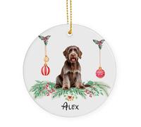 Brown Wirehaired Pointing Griffon Dog Ornamento Natalizio In Ceramica Con Cordino Decorazione Da Appendere 7.3Cm Decorazione Rotonda Per Albero Di Natale
