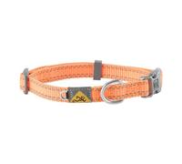 Browning Classic cane collare cane da caccia, classico, cinghie di sicurezza arancione, grande