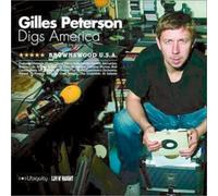 brownswood usa:gilles peterson digs america