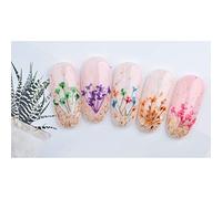 BRRNOO 24pcs 12 Colori Fiore Secco per Decorazioni per le Nail Art Decorazioni per Unghie Abbellimenti per Unghie con Gypsophila Piccoli Margherite Petali per Teatri di Artigianato (-2)