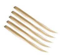 BRRNOO 5 Pezzi Nelle Estensioni dei Capelli per Parrucchino Dritto Colorato Estensioni dei Capelli Sintetici per Feste Cosplay con Lunghezza 55 Cm Facile Pettinare (C)