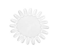 BRRNOO Cartina Colorata per Smalto con 20 Punte per Unghie, Tabella Pratica Trasparente per Nail Art con Adesivi per Unghie, per la Progettazione e la Pittura (20 colori trasparenti)