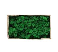 BRRNOO Muschio Decorativo Stabilizzato, Resistente Al Colore e Versatile per Realizzare Decorazioni per la Casa e Decorazioni Stagionali 500 G (Verde militare / 500g)