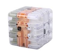 BRRNOO Puzzle Labirinto 3D, Rompicapo Labirinto con Palla Rotolante a Doppio Percorso per Allenamento Logico e Consapevolezza Spaziale, con Materiale Plastico di Qualità per