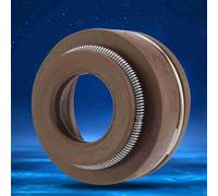 Brrnoo Sigilla della Valvola, Sigillo a Vapore Valvola Kit Dispense Metal Valve Sigillo per Motore