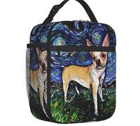 BRTOLIIAO Notte stellata Boston Terrier Sacco pranzo isolante per donne Raffreddatore per cani domestici Termico Scuola di lavoro