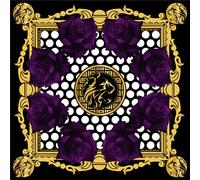 BRTSH KNIGHTS If I Was To / Hazed (Vinyl LP)