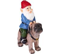 Brubaker Nano da Giardino con Cane - Gnomo in la Sella Monta un Carlino - Divertente Figura di Giardino - Decorazione Resistente alle Intemperie per Giardino e Proprietari di Cani - 26 cm