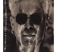 Bruce Cockburn - Nothing but a burning light (1991)