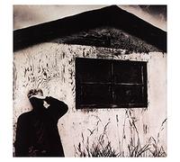 Bruce Cockburn Nothing but a burning light (CD) Album