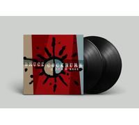 Bruce Cockburn O Sun O Moon (Vinyl LP) 12" Album