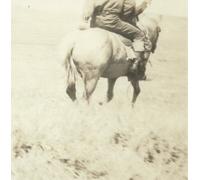 Bruce Langhorne The Hired Hand (Vinyl LP) 12" Album