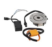 Bruce & Shark CDI Stator Ignition Kit per Suzuki RM125 RM250 RM465 RM500 1974-1986 - Flywheel, Ignition Coil, CDI Unit