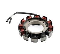 Bruce & Shark Charge Coil 17A per Honda GX630 GX660 GX690 GXV630 GXV660 GXV690 31630-Z6L-003