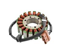 Bruce & Shark Magneto Coil Stator + Voltage Regulator + Gasket Assy per Supermoto Duke 950 990 Adventure R S