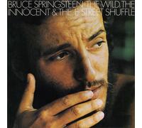 Bruce Springsteen Wild the Willing & E Street