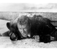 Bruce Willis Die Hard 2 [1043720] Foto 8x10 (+ Altre Dimensioni Inclusa Poster)