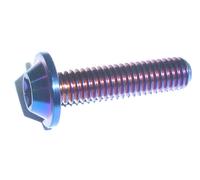 Bruciato Blu M6 10-35 Yamaha Carenatura Titanio Profilo Basso T30 Torx Lava Bolt