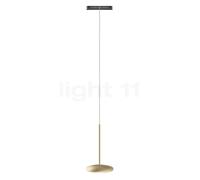 Bruck Blop Lampada a sospensione LED per All-in Binario, champagne/nero - 60°