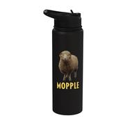 brufolo Stainless Steel Insulated Water Bottle