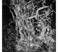 Bruit Monolith (CD) Album Digipak