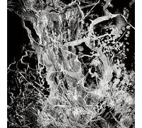 Bruit - Monolith Ep (the Fall Clear Vinyl ed.)