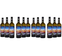 Brumale Vino Bianco Trebbiano Chardonnay Rubicone IGT, Gusto Pieno E Bilanciato E Profumo Intenso, 12% Vol, Confezione Con 6 Bottiglie Da 750 Ml (Confezione da 2)