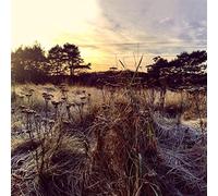 Brun*Ane - Leave Me Breathless