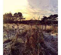 Brun*Ane - Leave Me Breathless