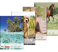 Brunnen 1047345 - Blocco da disegno (A3, 120 g/m², 20 fogli), 1 blocco