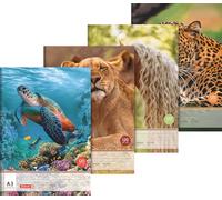 BRUNNEN Blocco da disegno, formato A3, 20 fogli, colori assortiti