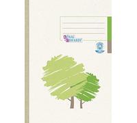 Brunnen - Libro contabile con copertina in cartoncino, formato A5, a quadretti, 148 x 210 mm, 96 fogli, colore: verde