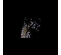 Brunnen - The Garden Of Perpetual Dreams