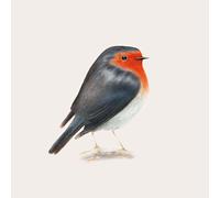 Brunori Sas - Cip - Vinile