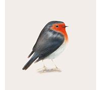 Brunori Sas - Cip! (Vinile)