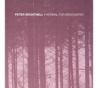 Bruntnell Peter - Normal For Bridgwater