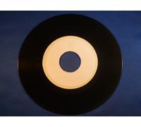 BRUSH ARBOR - folk, rock, pop, middle of the road country singer / we need rain 45 rpm single