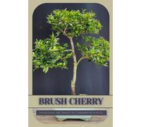 Brush Cherry: Ultimate Starter’s Guide to Bonsai Tree