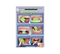 Brushing Teeth Poster Oral Hygiene Guide