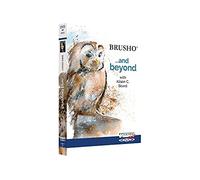 Brusho. . . e oltre con Alison C. Board DVD